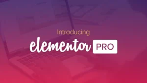 Elementor pro